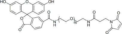 马来酰亚胺聚乙二醇荧光素，MAL-PEG-FITC