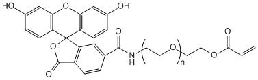 荧光素聚乙二醇丙烯酸酯，FITC-PEG-AC
